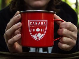 افضل مدن كندا للمعيشة للمهاجرين العرب تشتهر كندا بجودة الحياة ومستويات المعيشة التي تعتمد على مجموعة متنوعة من العوامل ، بما في ذلك تكاليف المعيشة و فرص العمل و جودة التعليم والصحة و غيرها. و اليوم في هذا المقال من موقع ClipAxis سوف نتعرف على افضل مدن كندا للمعيشة للمهاجرين العرب.