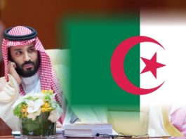 ما السر وراء زيارة الأمير محمد بن سلمان الى الجزائر ؟ ما السر وراء زيارة الأمير محمد بن سلمان الى الجزائر ؟