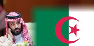 ما السر وراء زيارة الأمير محمد بن سلمان الى الجزائر ؟ ما السر وراء زيارة الأمير محمد بن سلمان الى الجزائر ؟