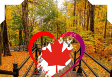 شرح برنامج الهجرة الجديد الى كندا Rural and Northern Immigration Pilot family immigration to canada, canada immigration process, canada immigration express entry, immigration to canada from india, canada immigration eligibility, canada immigration points, canada immigration permanent resident, canada immigration login,