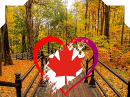 شرح برنامج الهجرة الجديد الى كندا Rural and Northern Immigration Pilot family immigration to canada, canada immigration process, canada immigration express entry, immigration to canada from india, canada immigration eligibility, canada immigration points, canada immigration permanent resident, canada immigration login,