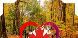 شرح برنامج الهجرة الجديد الى كندا Rural and Northern Immigration Pilot family immigration to canada, canada immigration process, canada immigration express entry, immigration to canada from india, canada immigration eligibility, canada immigration points, canada immigration permanent resident, canada immigration login,