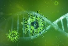 كيف تحمي نفسك من فيروس كورونا أثناء السفر ؟ كيف تحمي نفسك من فيروس كورونا أثناء السفر ؟