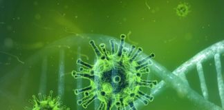 كيف تحمي نفسك من فيروس كورونا أثناء السفر ؟ كيف تحمي نفسك من فيروس كورونا أثناء السفر ؟